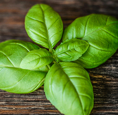 bunch of fresh basic