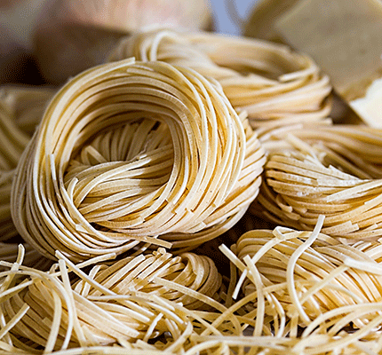 homemade noodle pasta